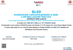 Attestato Bottinelli Fabio