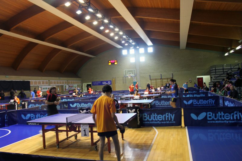torneogorlamaggiore031.jpg