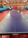 img20220904wa0015_small.jpg