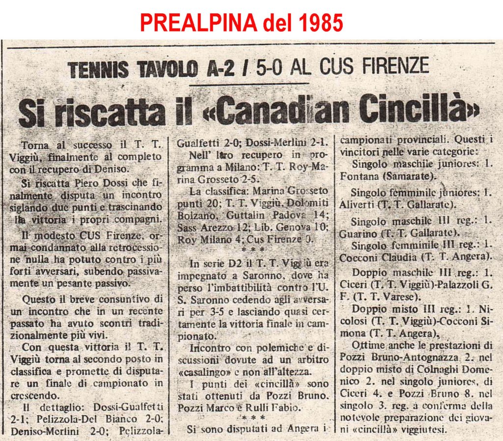 articolo14.jpg