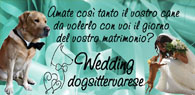 Wedding Dog Sitter Varese